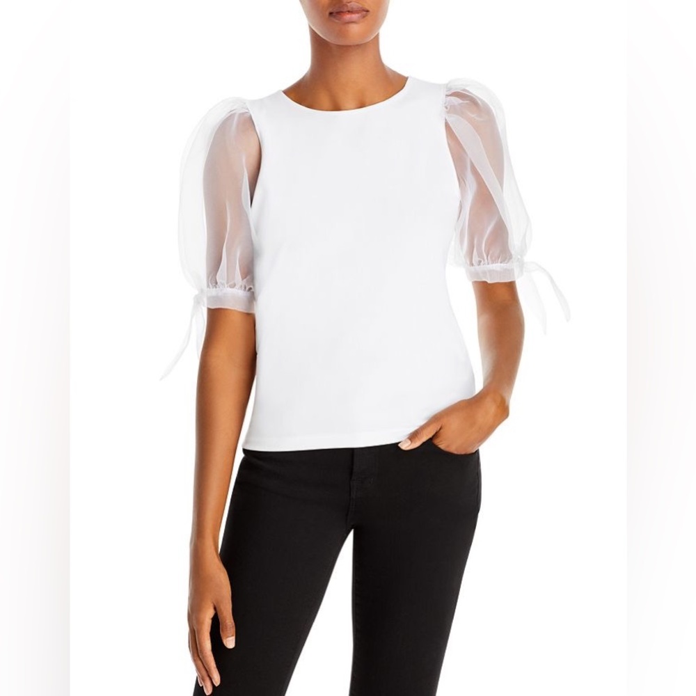 Aqua Sheer Puff Sleeve Top